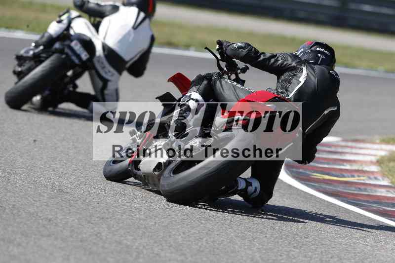 /46 11.08.2025 PADDYS-RACES-DAYS ADR/Sport-Profi/5